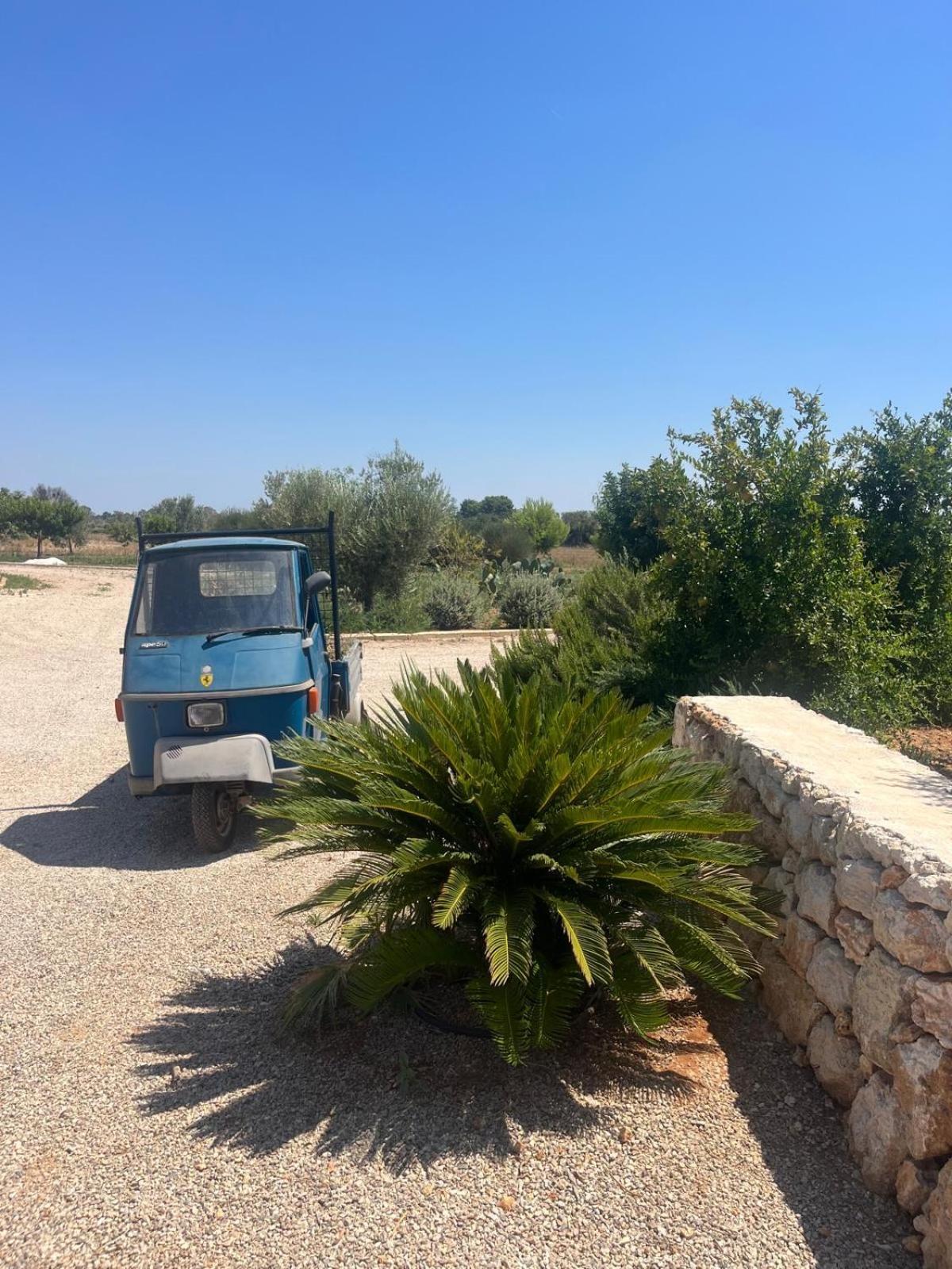 Villa Casa Bianca Di Porto Selvaggio Σάντα Κατερίνα Εξωτερικό φωτογραφία