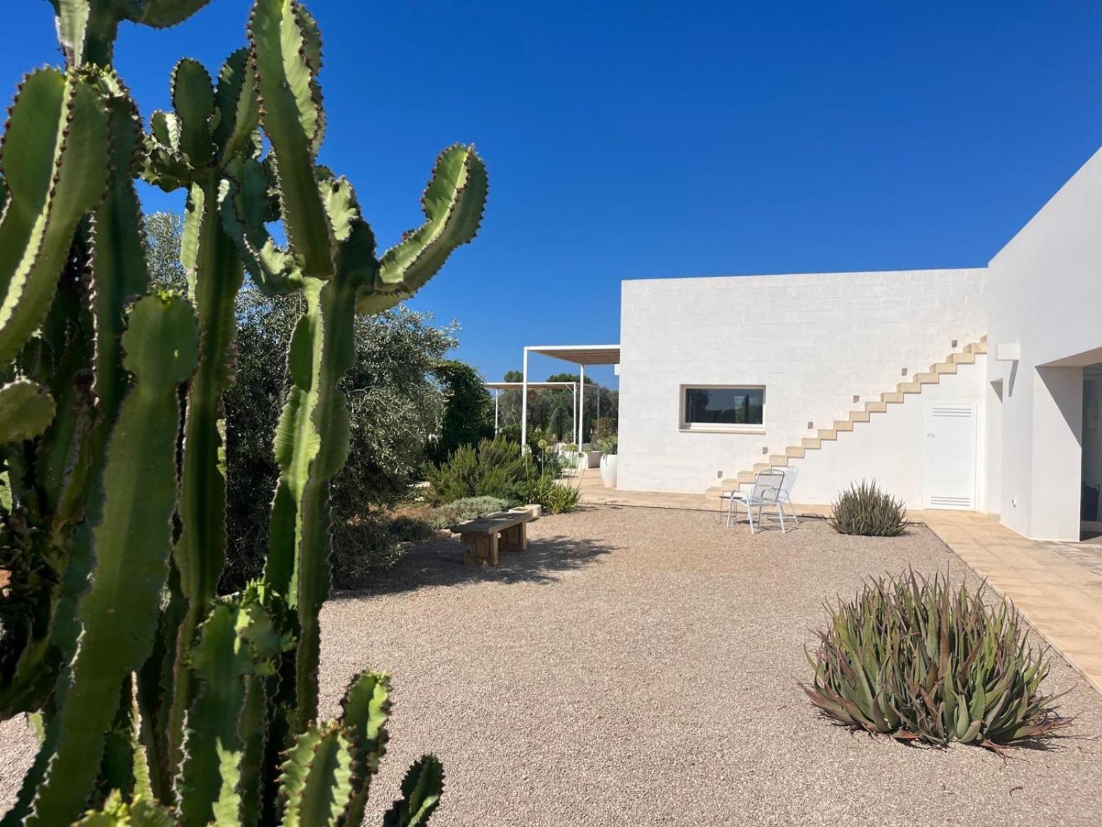 Villa Casa Bianca Di Porto Selvaggio Σάντα Κατερίνα Εξωτερικό φωτογραφία