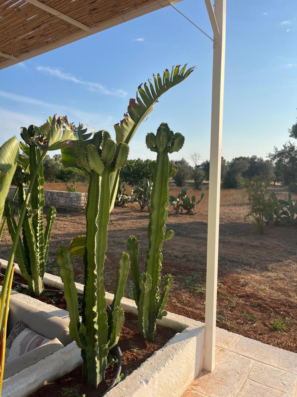 Villa Casa Bianca Di Porto Selvaggio Σάντα Κατερίνα Εξωτερικό φωτογραφία
